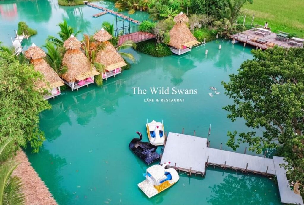 The wild swans lake & restaurant คาเฟ่นครปฐม