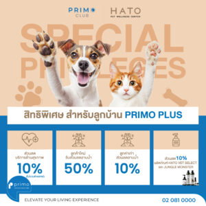 HATO Pet Wellness Center มอบสิทธิพิเศษส่วนลดสูงสุด บริการสุขภาพและผลิตภัณฑ์ 10%*