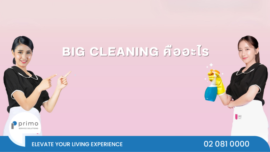 Big Cleaning ทำอะไรบ้าง