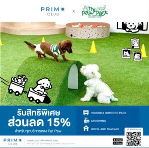 สิทธิพิเศษบริการคาเฟ่สัตว์เลี้ยง ส่วนลด 15%