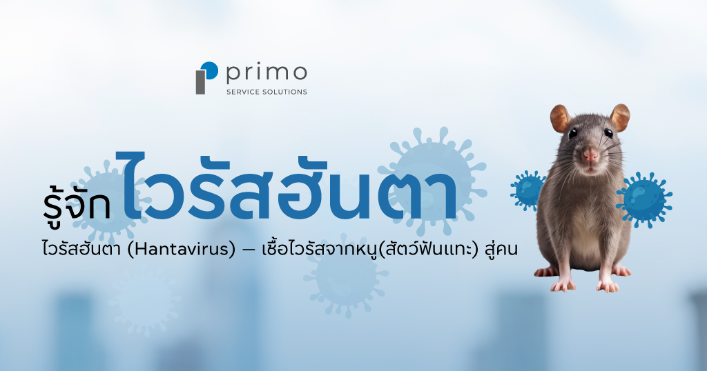 ไวรัสฮันตา คืออะไร
